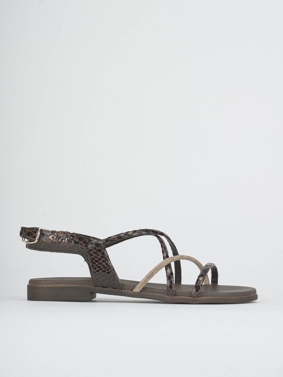 Sandalias de tacón bajo tacón 1 cm marrón oscuro pitón